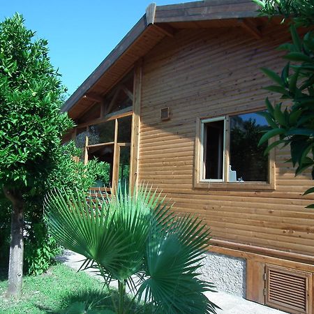 Sedir Palas Hotel Çıralı Exteriér fotografie